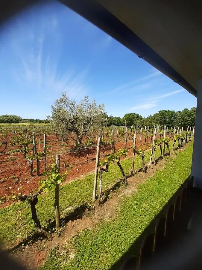Apartment And Rooms Hacienda Stelio Porec Croatia